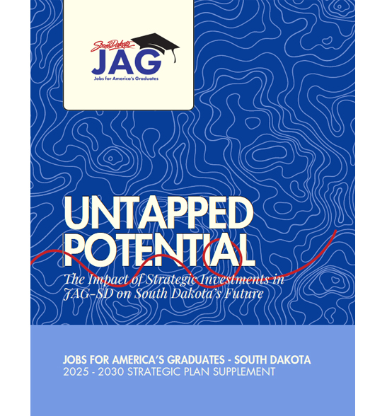 2025 - 2030 STRATEGIC PLAN SUPPLEMENT