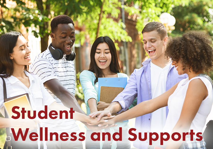 Student Wellness and Supports