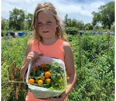 Child standing in garden holding box of freshly picked veggies.