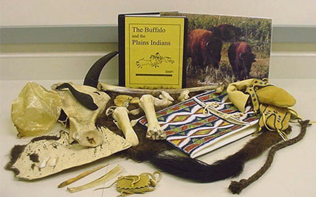 Buffalo Education Kit.